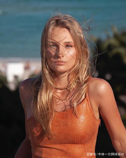 主力球员的 主力球员的